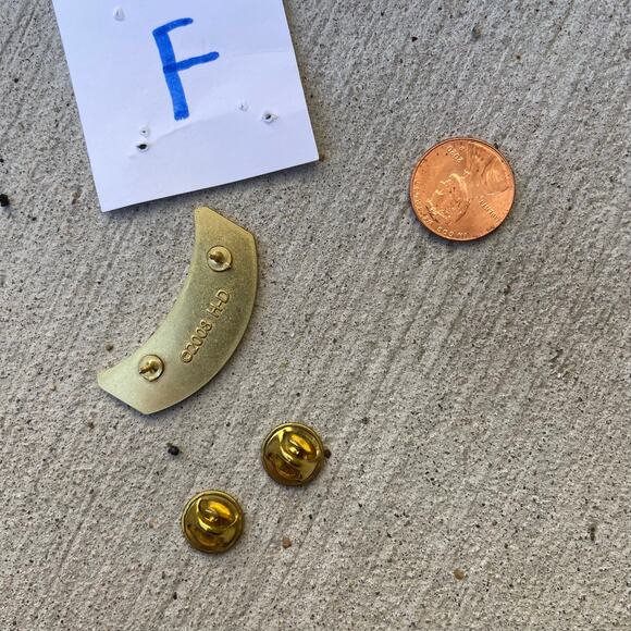 HOG Harley Davidson Owners Group Pin Rocker Badge Wings 2021 - Picture 3 of 5